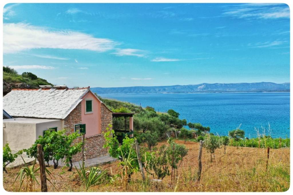 Otok Brač  Bol - Kuća za odmor Smokovlje - sea view and vineyard - Kuća za odmor 1