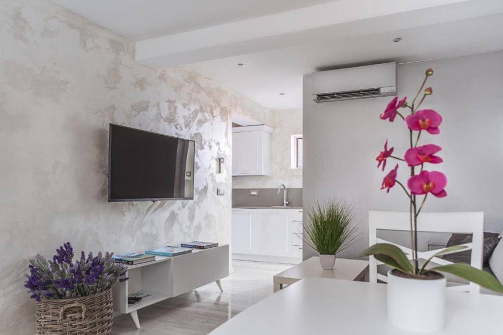 Istra  Rovinj - Apartmani Regent 3 - perfect view and location: - Appartement 1