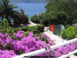 Pelješac Viganj - Apartmani Grego - Apartman 1 Pelješac Viganj - Apartmani Grego - Apartman 1