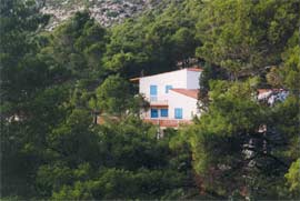Mljet Babino Polje - Apartman Soba - Apartmani Radulj ..