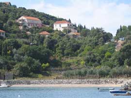 Apartmani Molunat ..