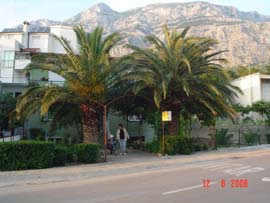 Makarska - ApartamentPokój - Kuća Urlić: Szczegóły ... Makarska - ApartamentPokój - Kuća Urlić: Szczegóły ...
