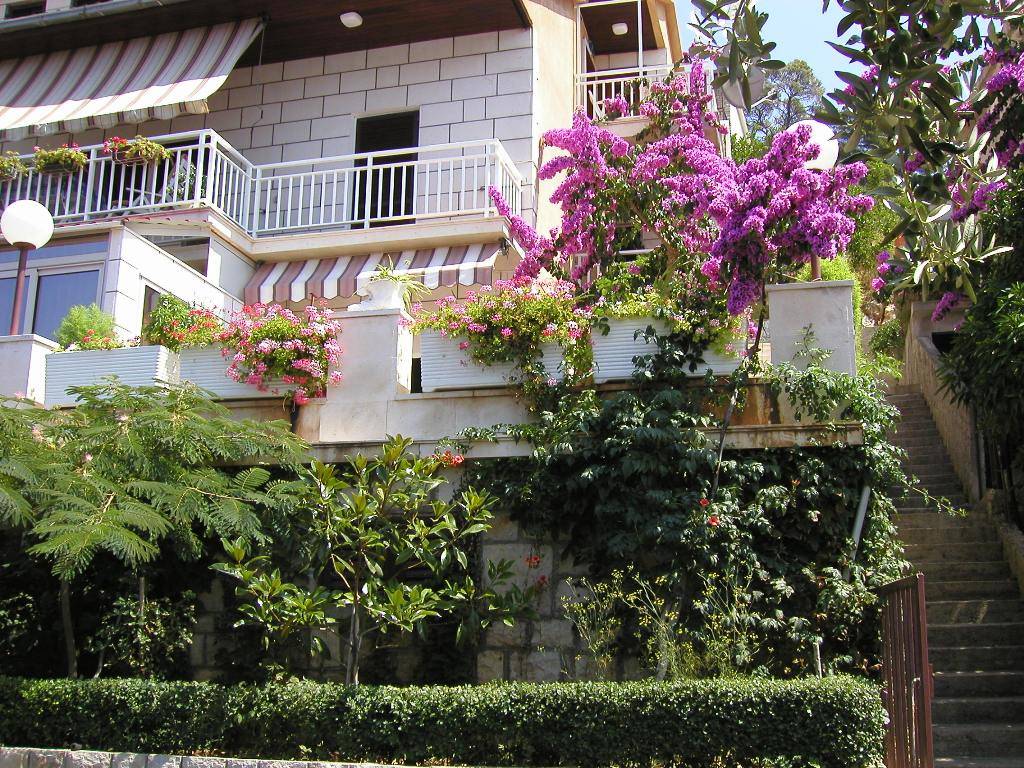 Korčula-Smokvica - ApartmanSoba - Apartmani Palma: Detalji ... Korčula-Smokvica - ApartmanSoba - Apartmani Palma: Detalji ...