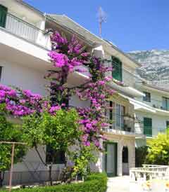 Makarska - ApartamentPokój - Apartmani Zelić: Szczegóły ... Makarska - ApartamentPokój - Apartmani Zelić: Szczegóły ...