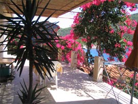 Lastovo Pasadur - Appartement Chambre - Apartmani Ortika: Détails... Lastovo Pasadur - Appartement Chambre - Apartmani Ortika: Détails...